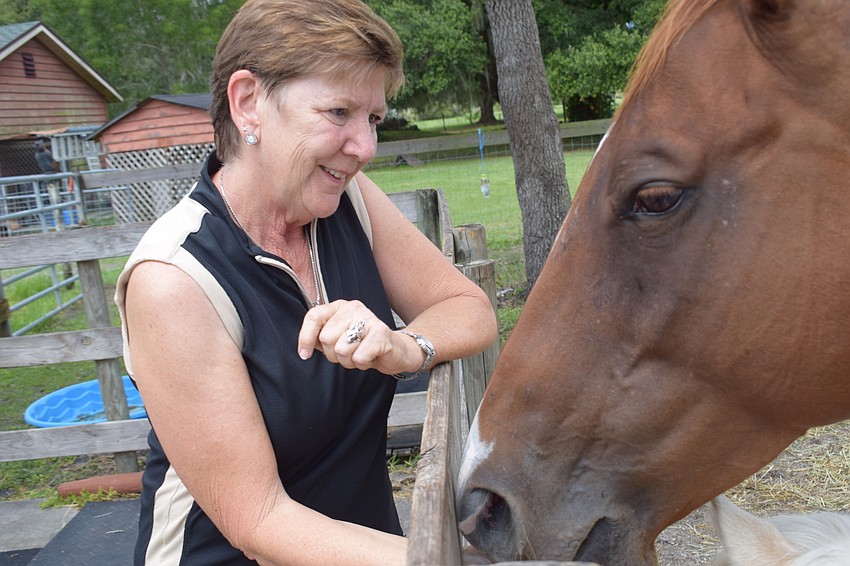 Deb Herbert feeds one of her four horses at her ranch in Myakka City.
