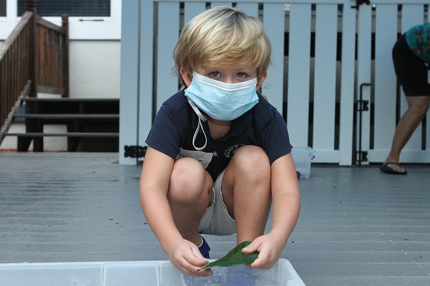 Carter Micale picked up leaves and toys.