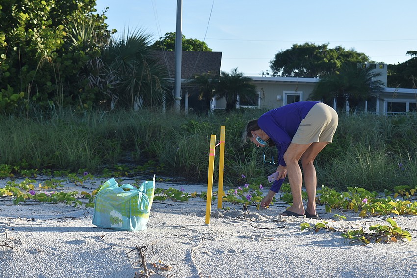 Cyndi Seamon checks on a turtle nest along the route.