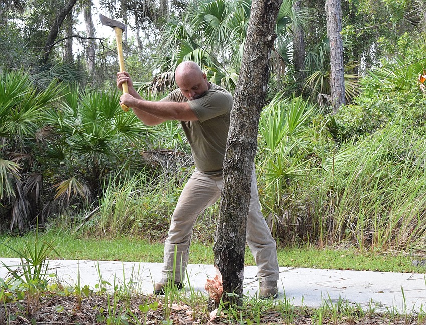 Roger Perkins with Smith Seckman Reid cuts down a tree. 