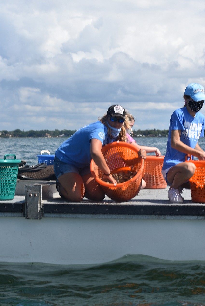 Kaitlyn Deinlein scoops clams out of a bucket into the bay.