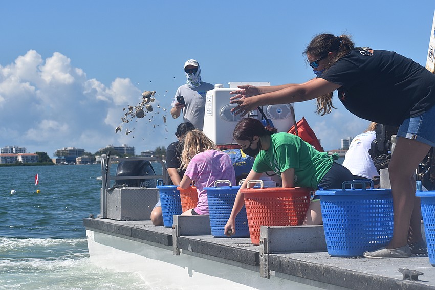 Delaney Deinlein throws a handful of clams into the bay.