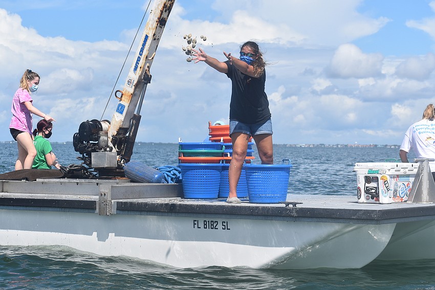 Delaney Deinlein throws a handful of clams into the bay.
