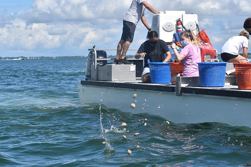 Clams head into the bay.