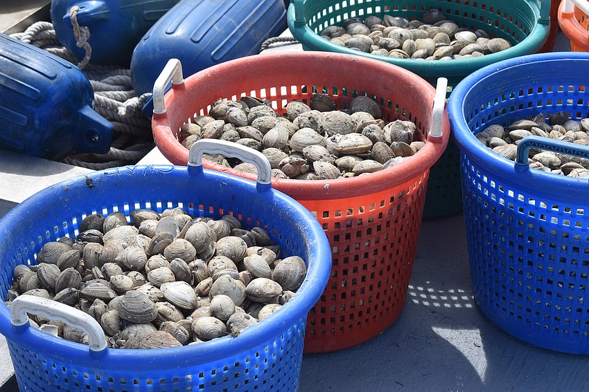 The barge, provided by Reef Innovations, carried the most clams.
