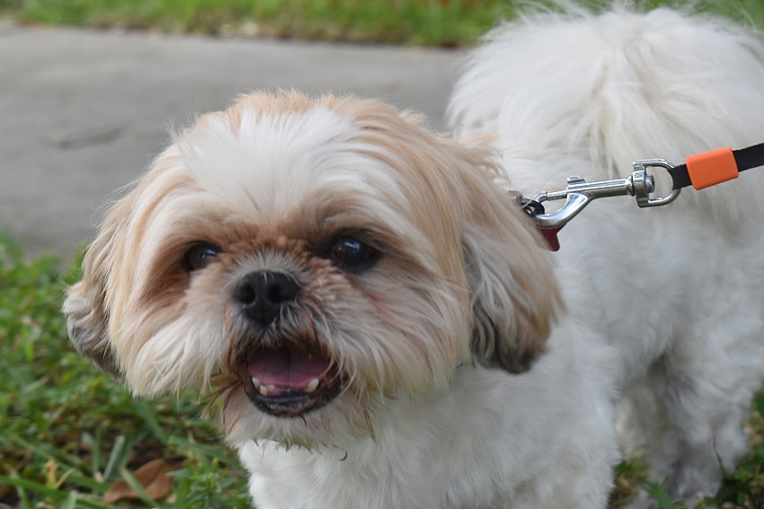 Buddy smiles for his close-up.