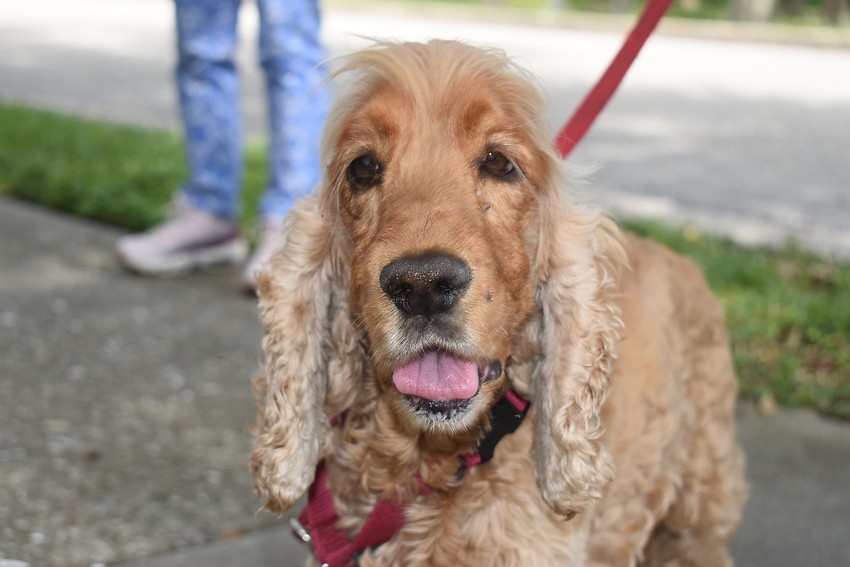 Maggie smiles for her close-up.