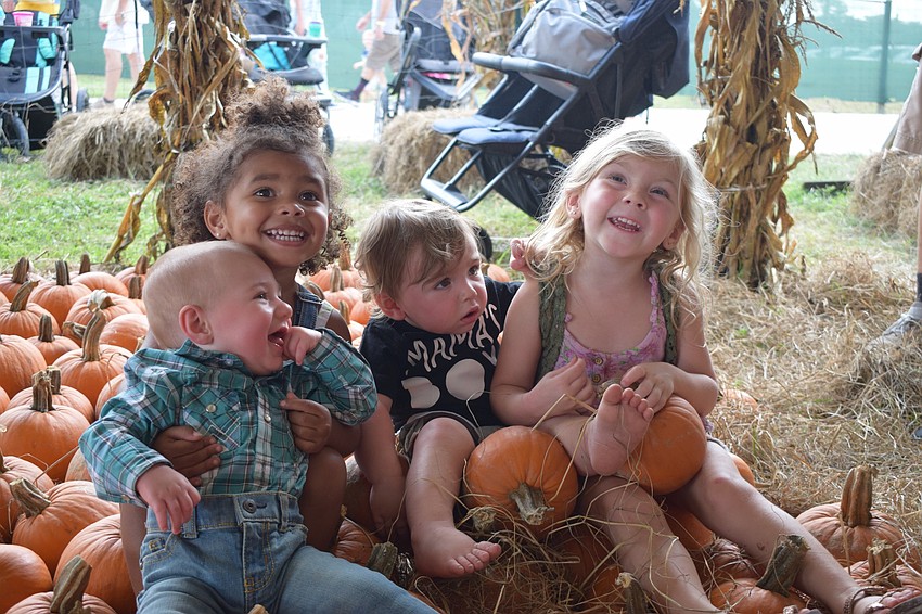 Bradenton's Domaniq Hutton, who is 9 months old, Parrish's Cyla Finklea, who is 2, and Myakka's Kadin Dodge, who is 1, and Adelynn Dodge, who is 3, have fun in the pumpkin patch.