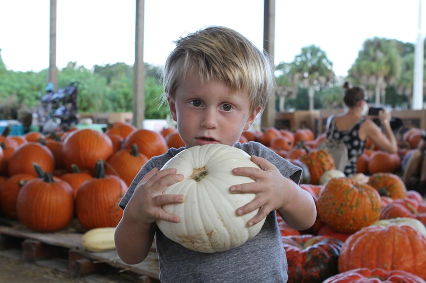 William Mark found his pumpkin.