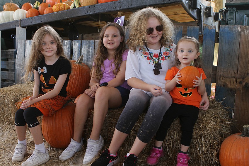 Anabella, Angie, Lilliana and Luna Suppa took a seat with some pumpkins.