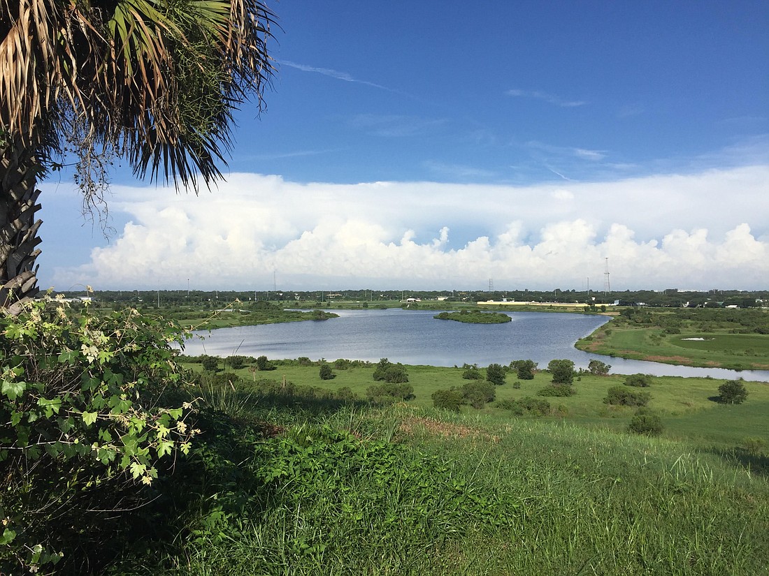 Celery Fields is a popular walking location that is home to more than 240 bird species.