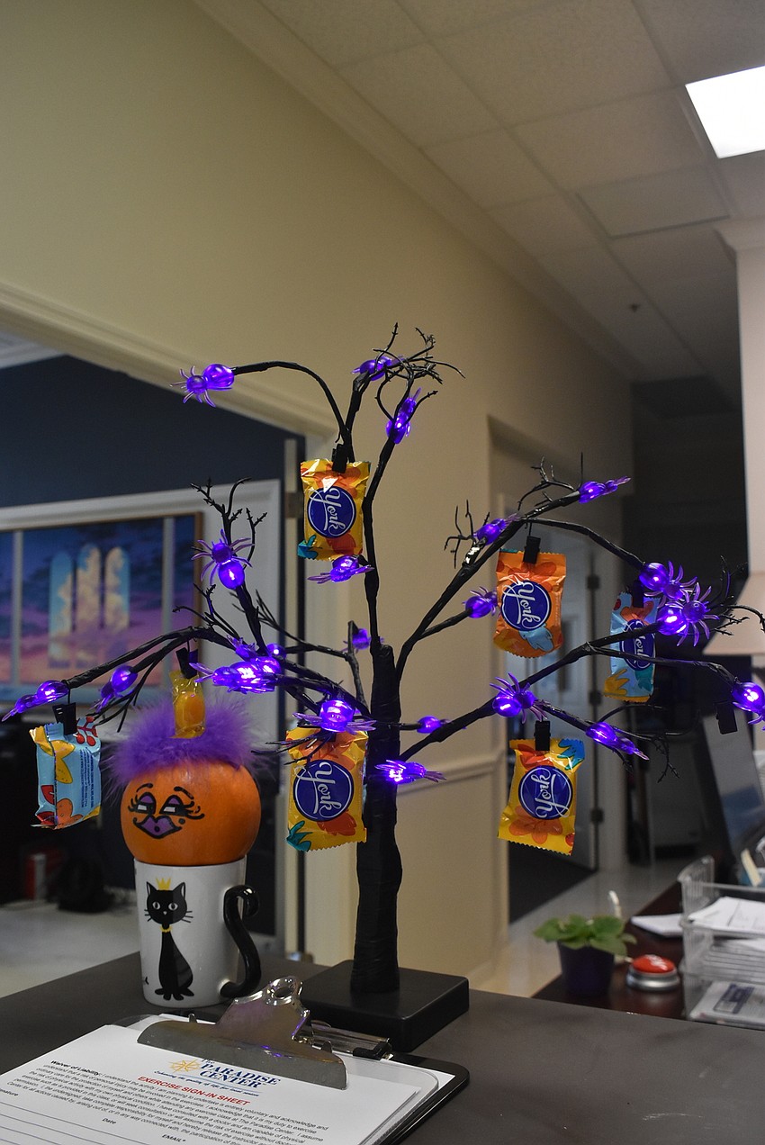 The Paradise Center's spooky spirited tree.