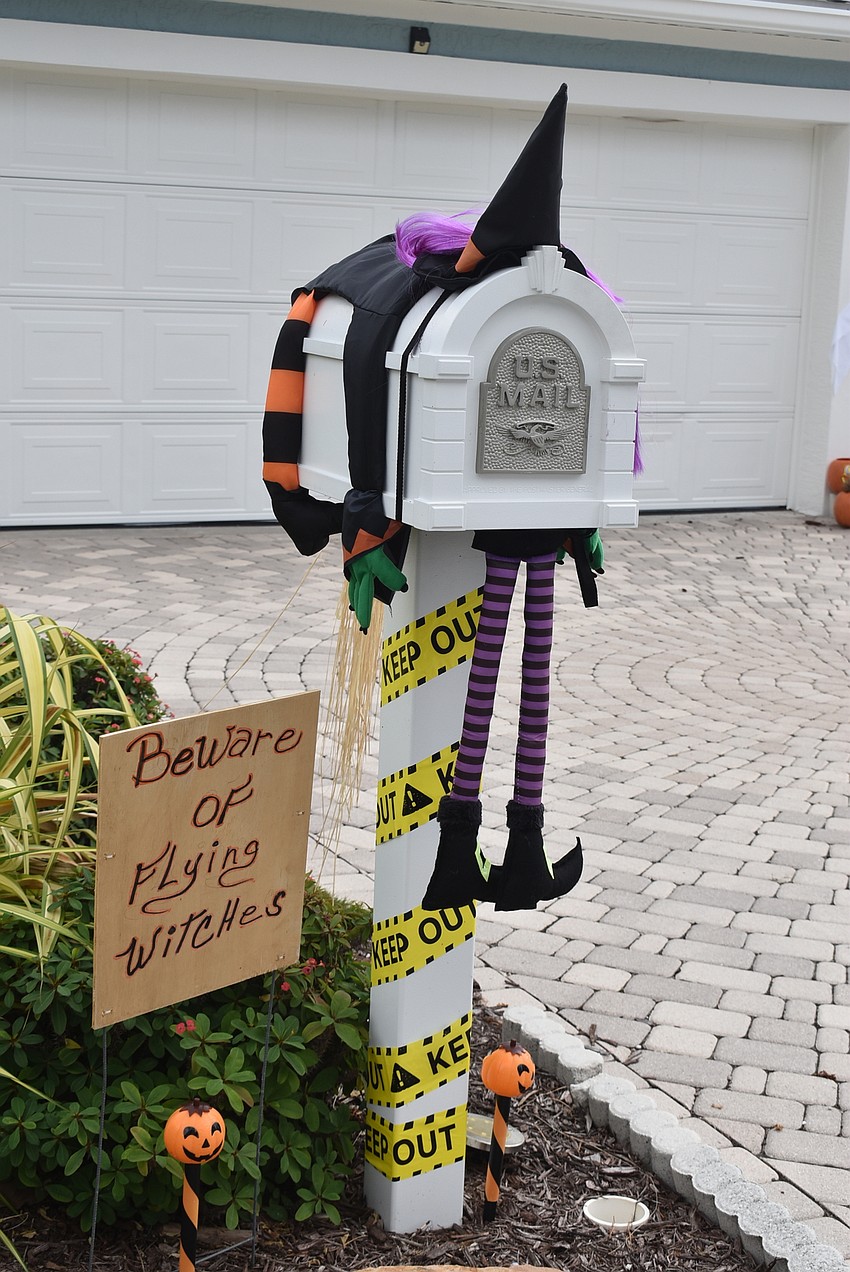 618 Jungle Queen Way