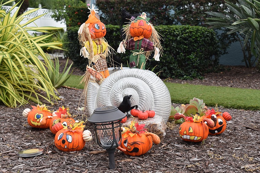 618 Jungle Queen Way