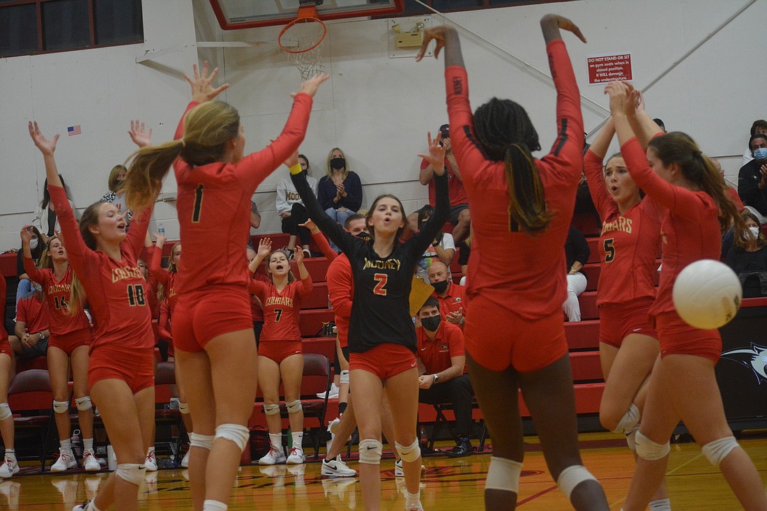 The Cougars volleyball team is one win from back-to-back Final Four appearances.