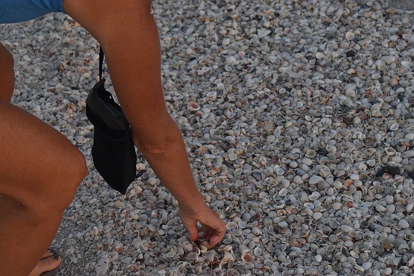 Sheila Loccisano uses a potato masher to scrape for shells.
