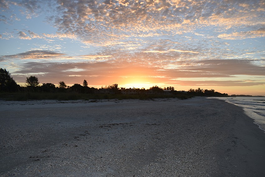 Early morning is the best time to find shells.