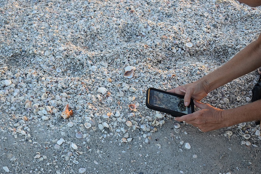 When snapping photos, Loccisano just uses her iPhone.