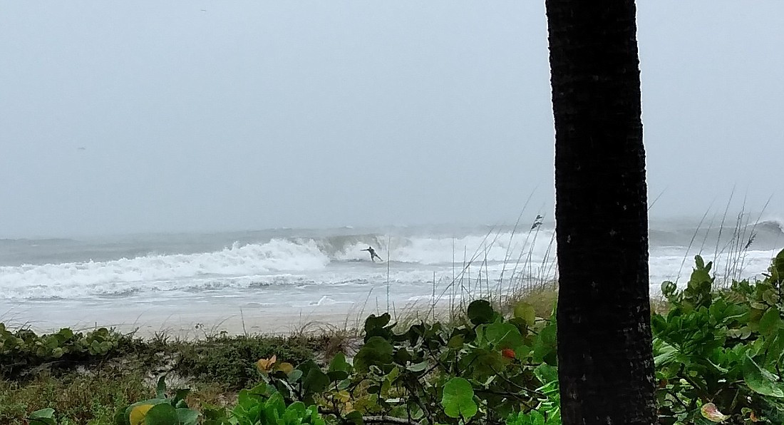 At 3 p.m. on Wednesday in front of the Moose Club on Bradenton Beach, with Tropical Storm Eta ready to make landfall, this man ignored riptide and storm surge warnings to do some surfing.