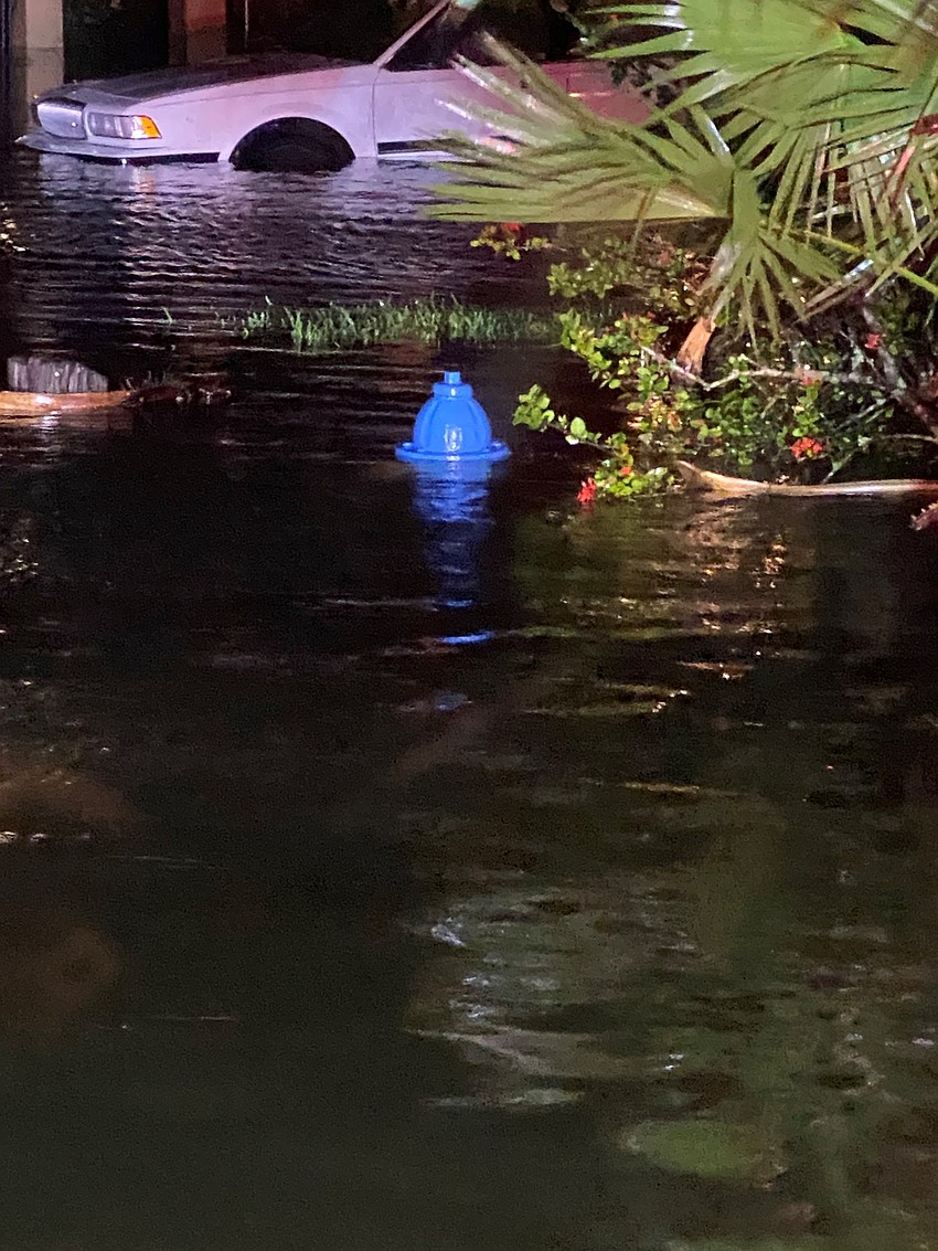 Flood waters rose as high as a fire hydrant in one portion of Longbeach Village. (LBKFR photo)