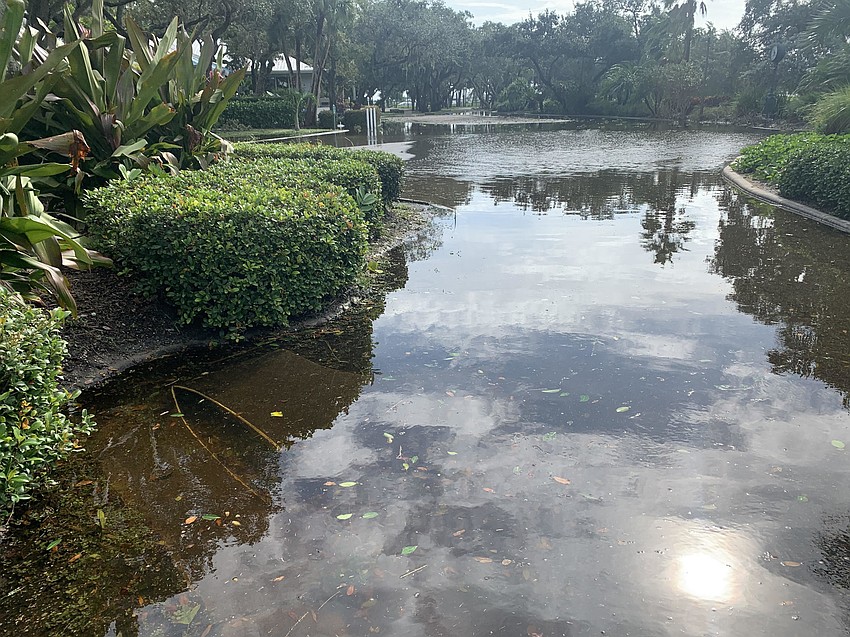 Water stands near the entrance of the Harbourside golf course. (Nat Kaemmerer)