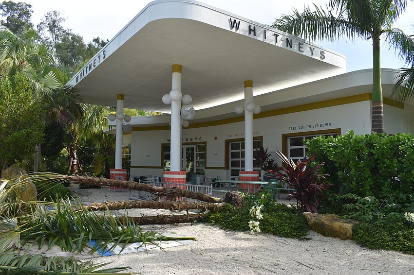 Whitney's had a downed tree on Thursday morning. The establishment was closed Thursday.