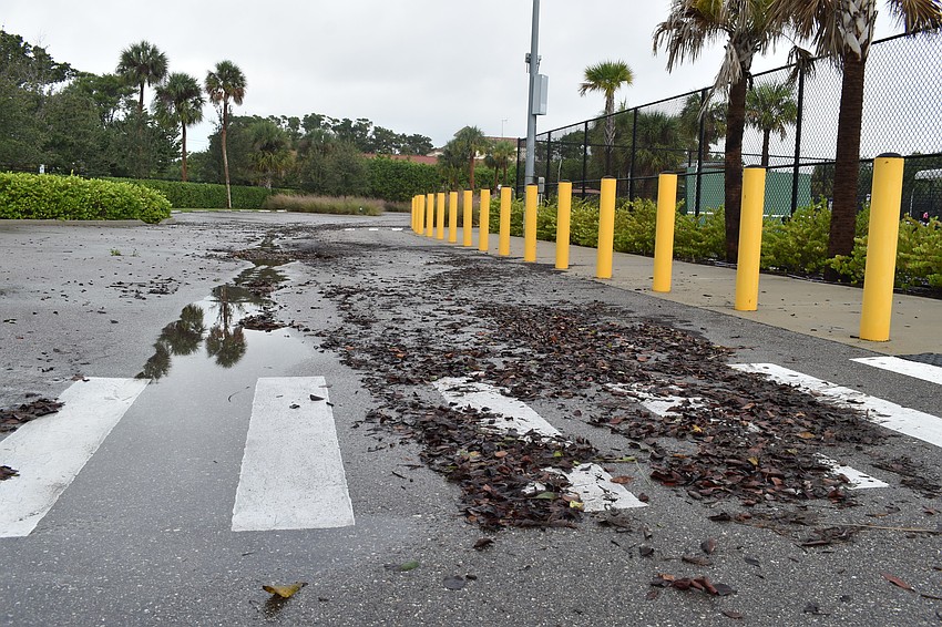 Some evidence of previously high water remained in Bayfront Park.