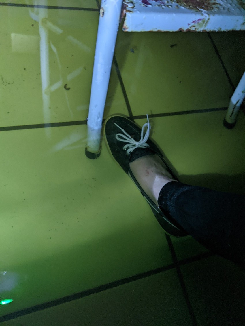 Water was three inches deep in Vashti Braha's library. (Courtesy of Vashti Braha)