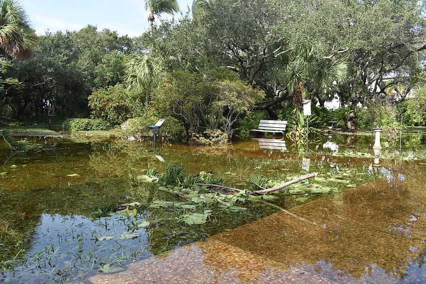 Bicentennial Park was covered in water, with spots more than a foot deep.