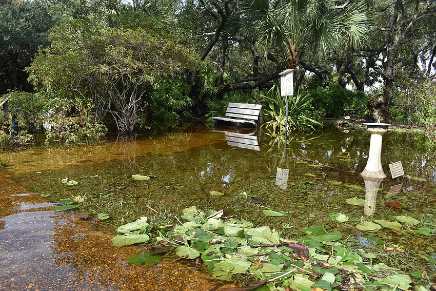 Bicentennial Park was flooded Thursday morning.