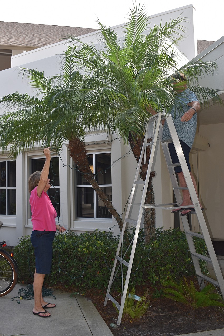 Joyce Hart assists Jeff Hart in untangling lights to brighten up a palm tree.