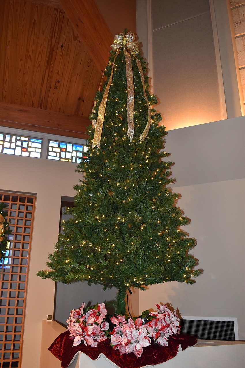 Frost-trimmed poinsettias lay at the base of a tree.
