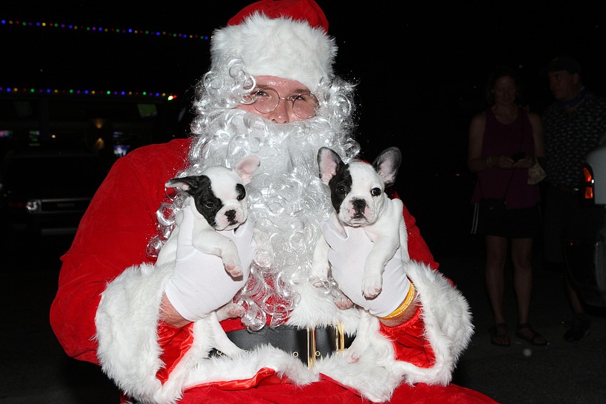 Santa held onto CJ and Duke the french bulldogs.