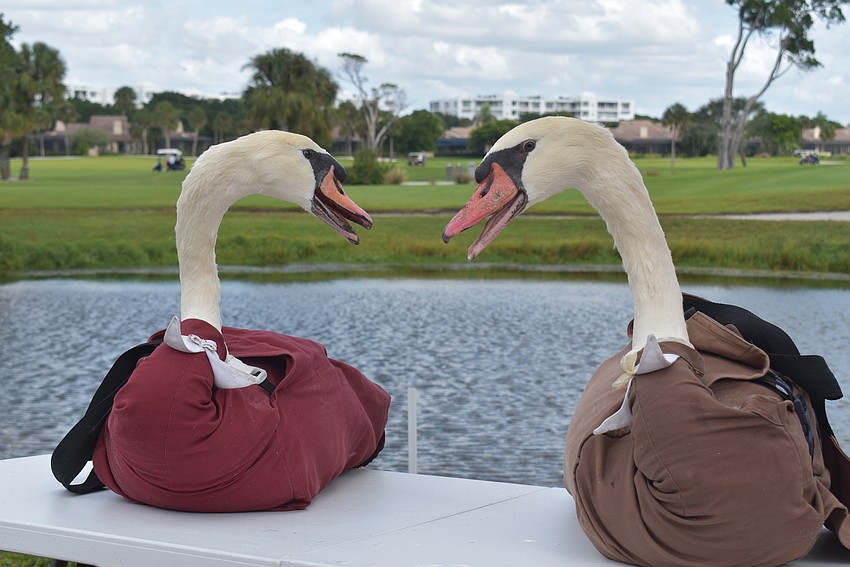 Nov. 12: Chuck and Margie look over their  new home in Longboat Key.