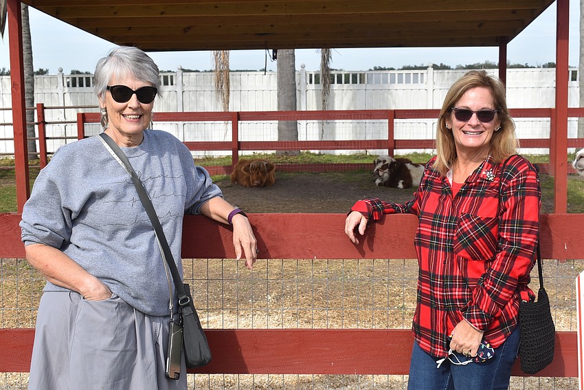 Irene Downey (left) of Country Creek and Cheryl Nagle of Braden Pines visit the cow enclosure. They love animals and were visiting The Rye Road Giraffes for the first time.