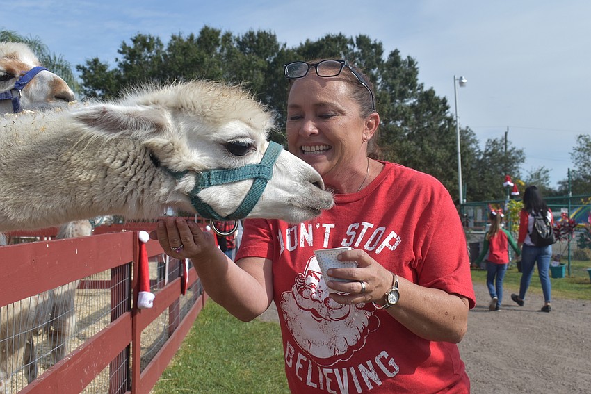 Brandy Waligora of northwest Bradenton feeds a llama. She passes by The Rye Road Giraffes all the time when she drives to work at Big Cat Habitat and Gulf Coast Sanctuary and finally got to visit.