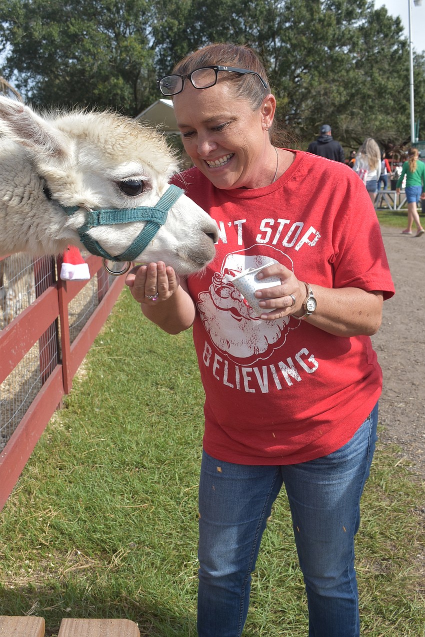 Brandy Waligora of northwest Bradenton feeds a llama. She passes by The Rye Road Giraffes all the time when she drives to work at Big Cat Habitat and Gulf Coast Sanctuary and finally got to visit.