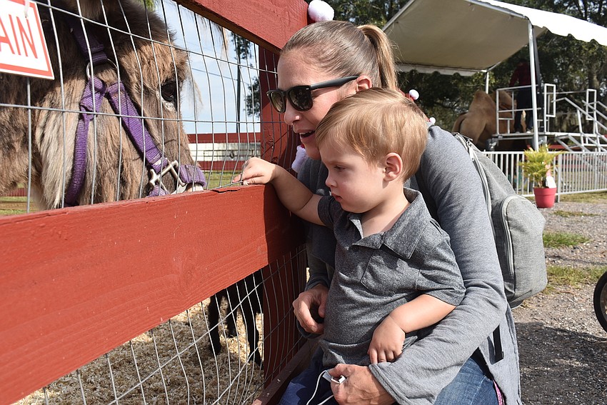Sara Mapes (top) and her son, Emerson Ott, of Old Myakka came to see the giraffes but were also fascinated by the tortoises.