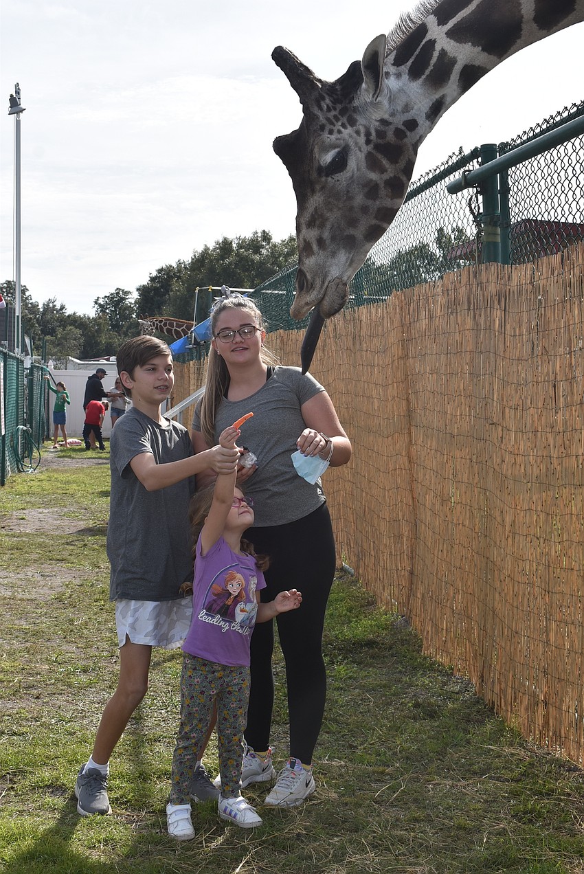 Hannah Storbeck of Summerfield feeds Twigs the giraffe as siblings Ethan (left) and Jani watch. They are from South Africa, and mom Anoesjka Storbeck said seeing the giraffes and zebras felt like a taste of home.
