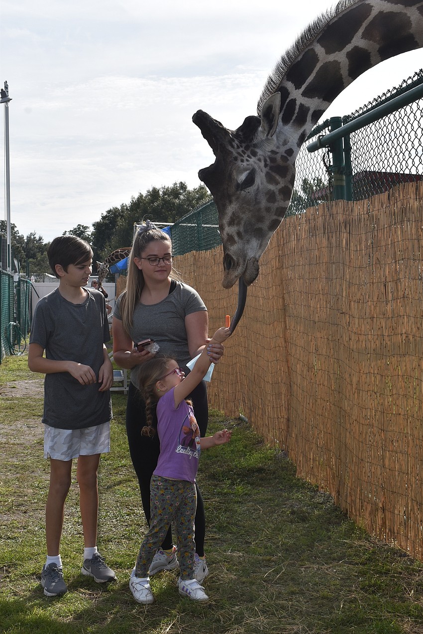 Hannah Storbeck of Summerfield feeds Twigs the giraffe as siblings Ethan (left) and Jani watch. They are from South Africa, and mom Anoesjka Storbeck said seeing the giraffes and zebras felt like a taste of home.