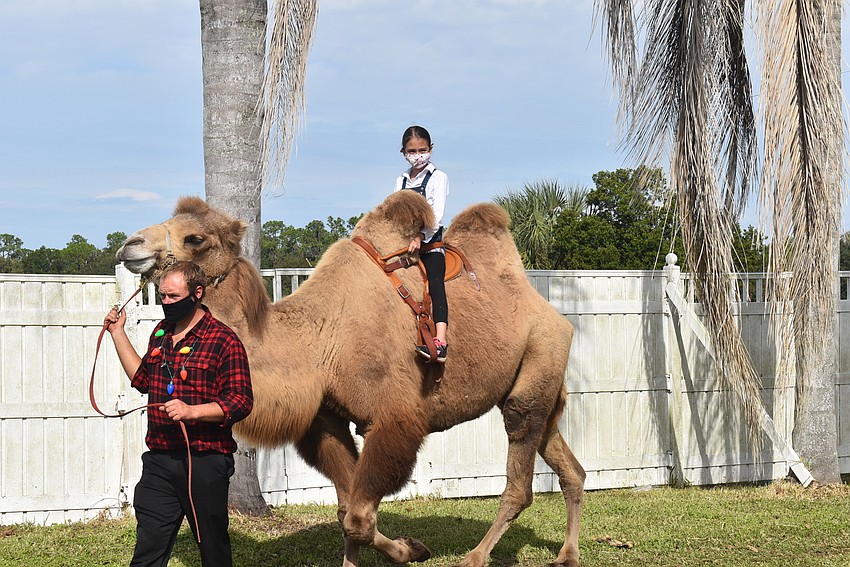 Oona Olmstead of Bayshore Gardens said she loves giraffes but also got to ride a camel.