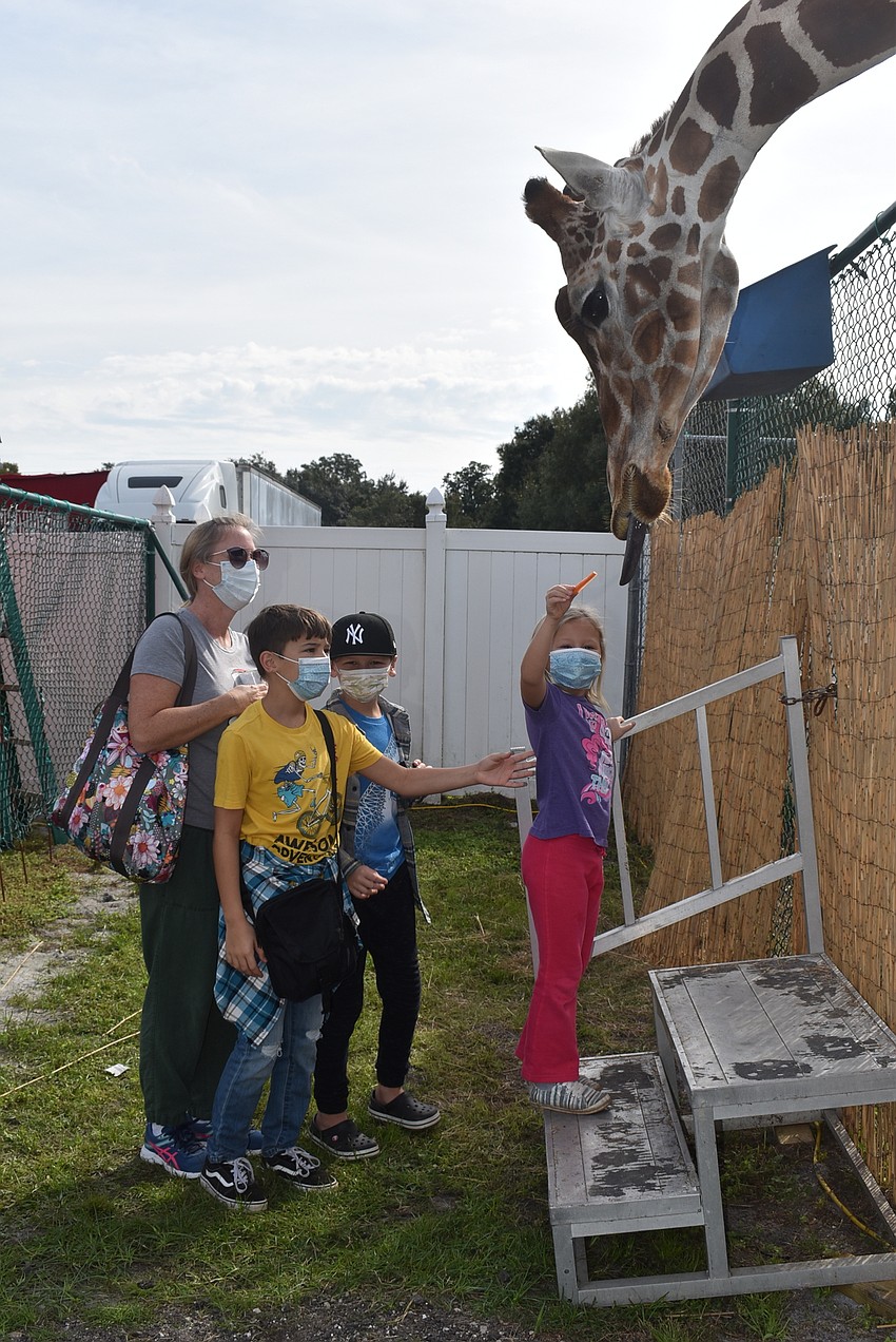 (From left) Jessica Bangora, Tristan Bangora, Ryan Bangora and Elizabeth Bangora, who live on State Road 64 in Bradenton, feed Melman the giraffe. They were driving to Rye Preserve but stopped to visit when they saw the giraffes.