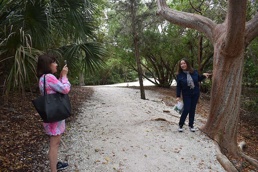 Kathryn Carr snaps a photo of Zelia Trueb by the gumbo limbo tree, which they deduced using an app.