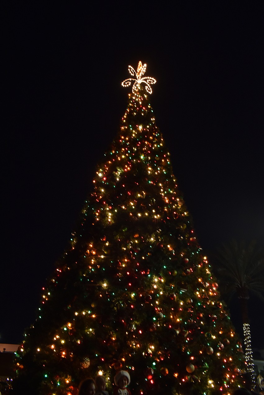 The massive tree lights up the night.