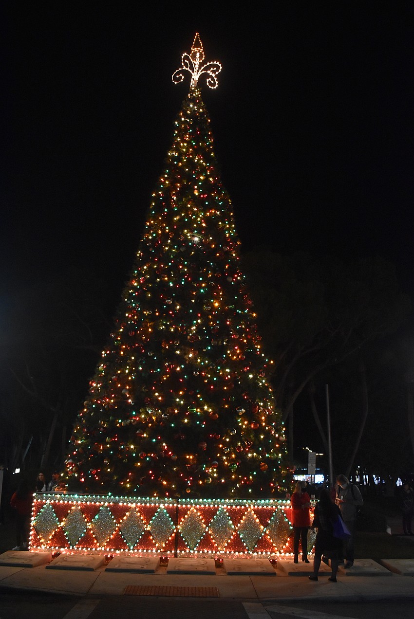 The massive tree lights up the night.