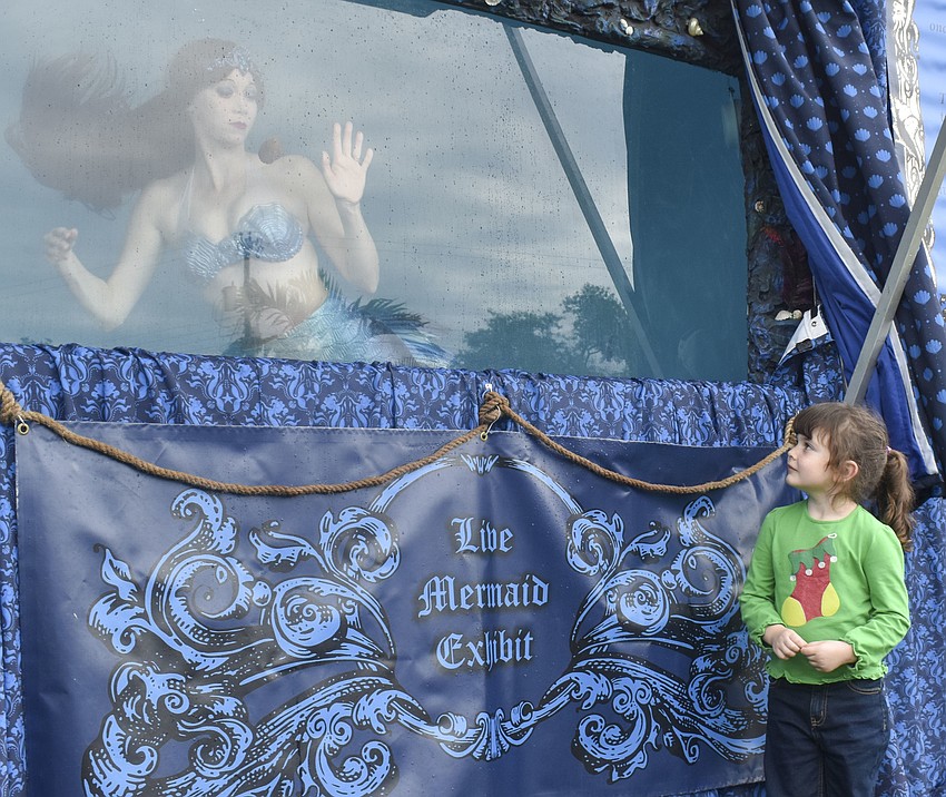 Jan. 9: Lily Wilson, 4, looks up at Alicesea, one of the performing mermaids.