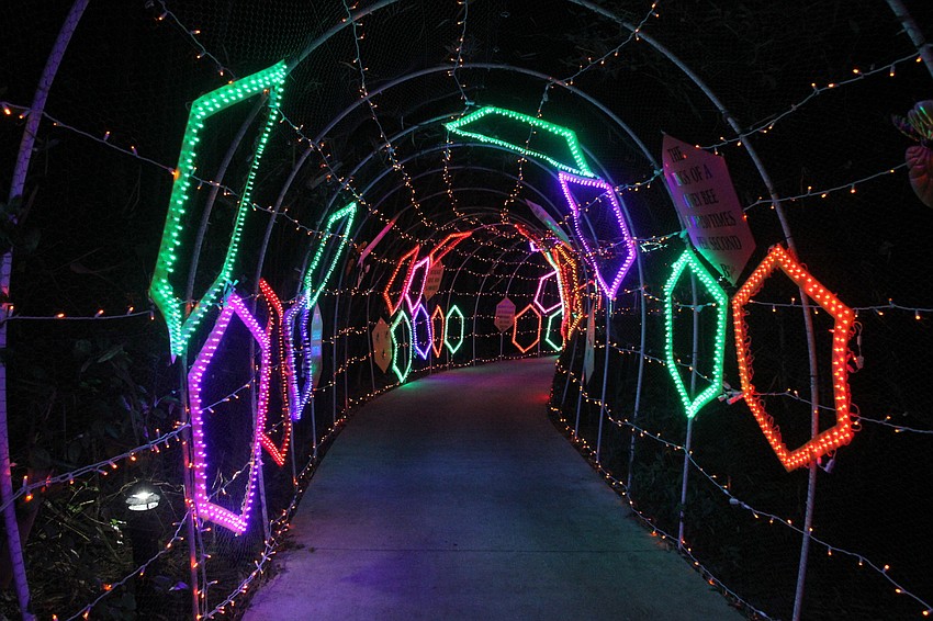 Colorful lights are on full display at the annual exhibit.
