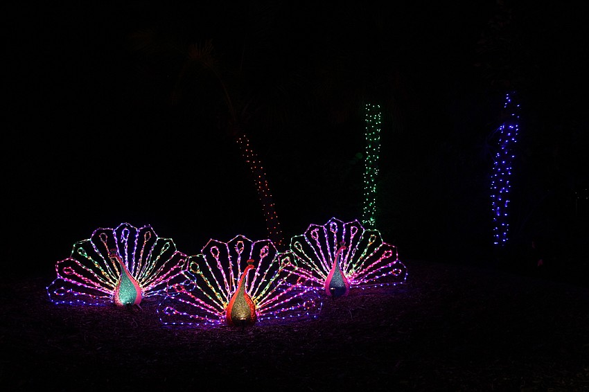 Colorful lights are on full display at the annual exhibit.