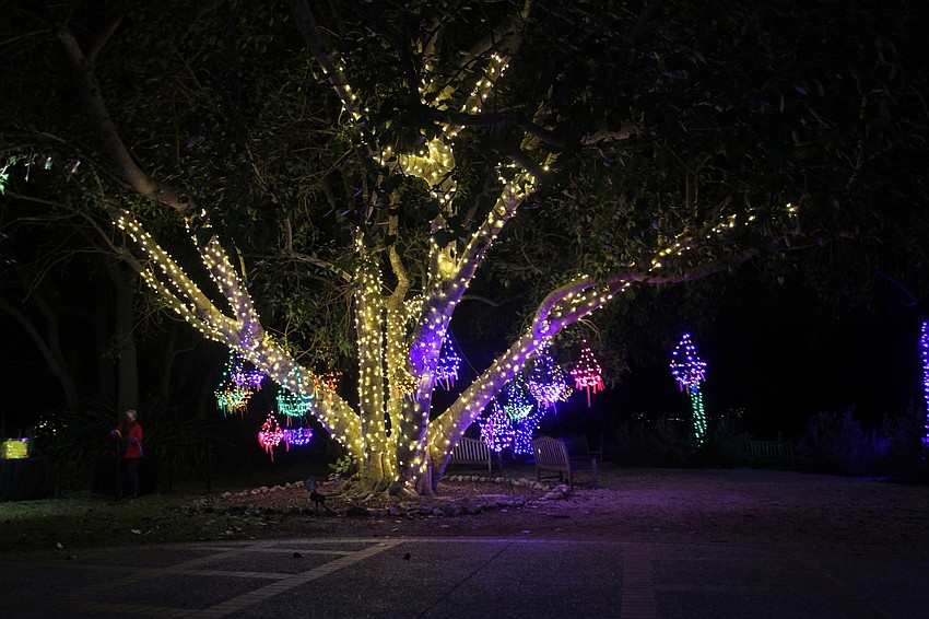 Colorful lights are on full display at the annual exhibit.