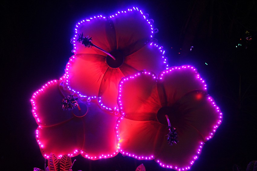 Colorful lights are on full display at the annual exhibit.